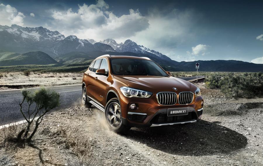  BMW X1 xDrive25Li xLine 2016 года  (фото 31 из 39)